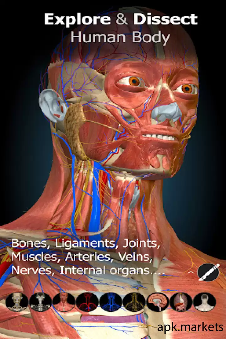تحميل Anatomy Learning - 3D Anatomy APK