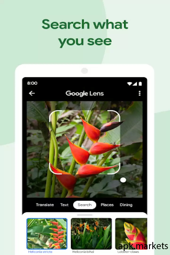 تحميل Google Photos APK